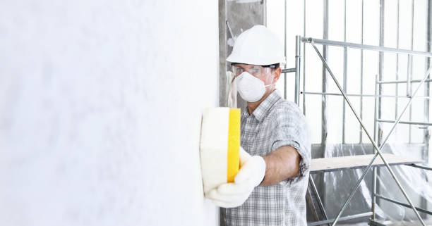 Best Commercial Mold Inspection  in Waterville, NY