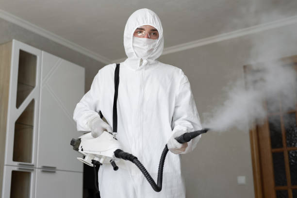 Why You Should Choose Our Mold Remediation Services in Waterville, NY